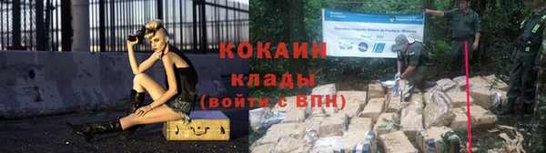 прущие грибы Беломорск