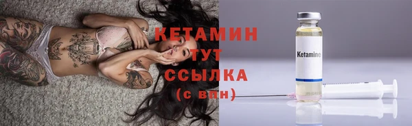 прущие грибы Беломорск