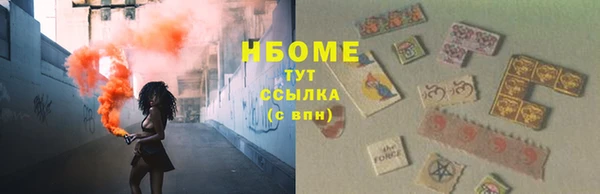 прущие грибы Беломорск