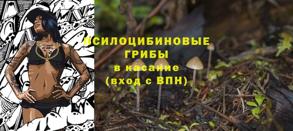 прущие грибы Беломорск
