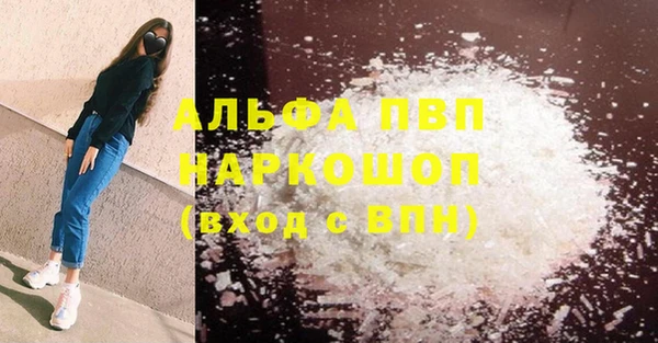 прущие грибы Беломорск