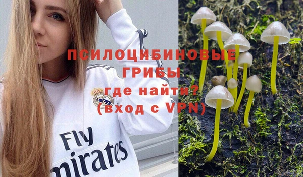 прущие грибы Беломорск