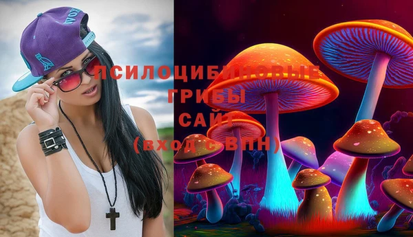 MDMA Белокуриха