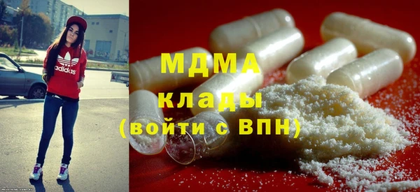 прущие грибы Беломорск