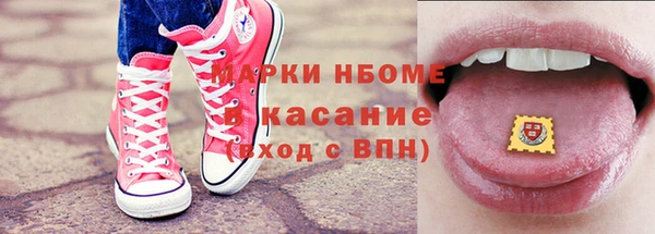 прущие грибы Беломорск
