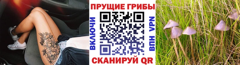Галлюциногенные грибы прущие грибы  Маркс 