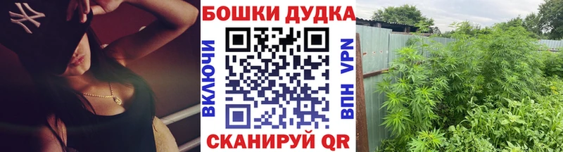 Каннабис индика  Маркс 